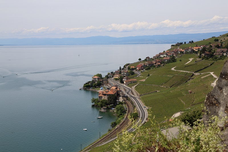 Weinberge des Lavaux