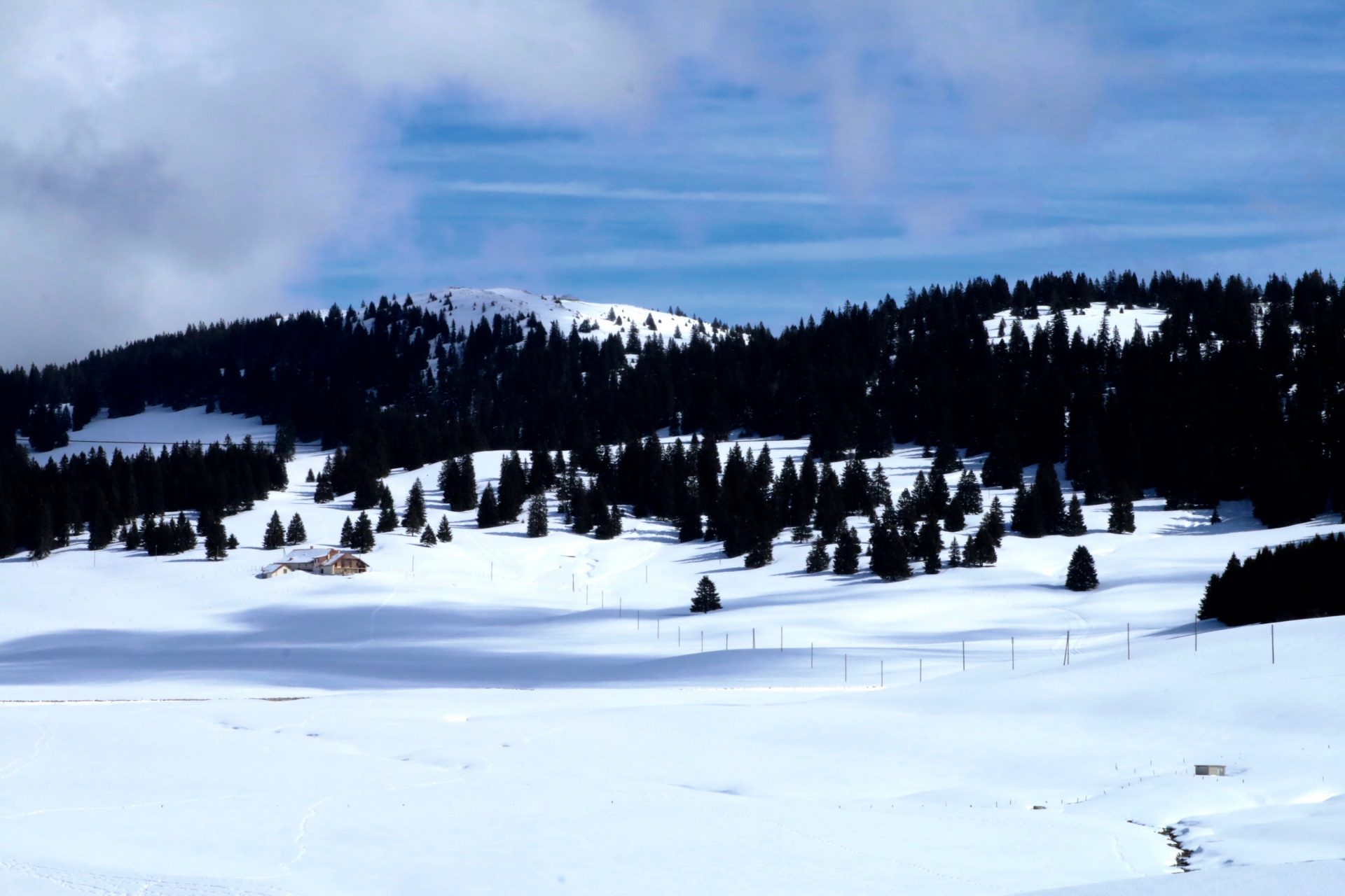 Il parco naturale del Giura vodese vicino a St. George in inverno