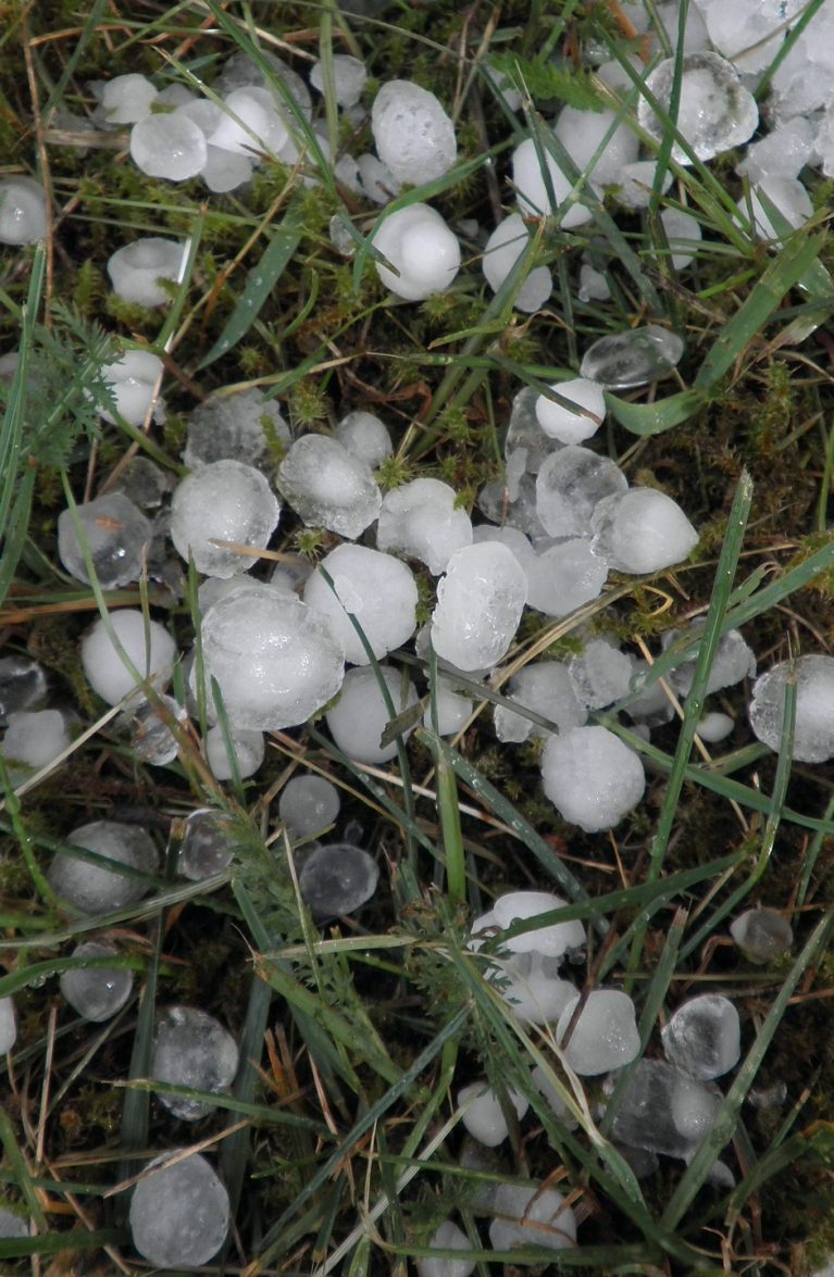 Un sinistre causé par la grêle? Comment économiser temps, souci et argent - Blog der AMAG Group AG 1