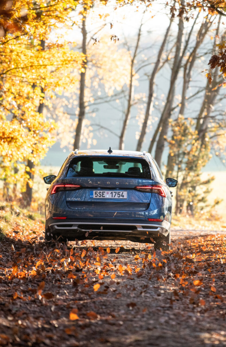 Clever und sicher durch den Herbst - Blog der AMAG Group AG 3