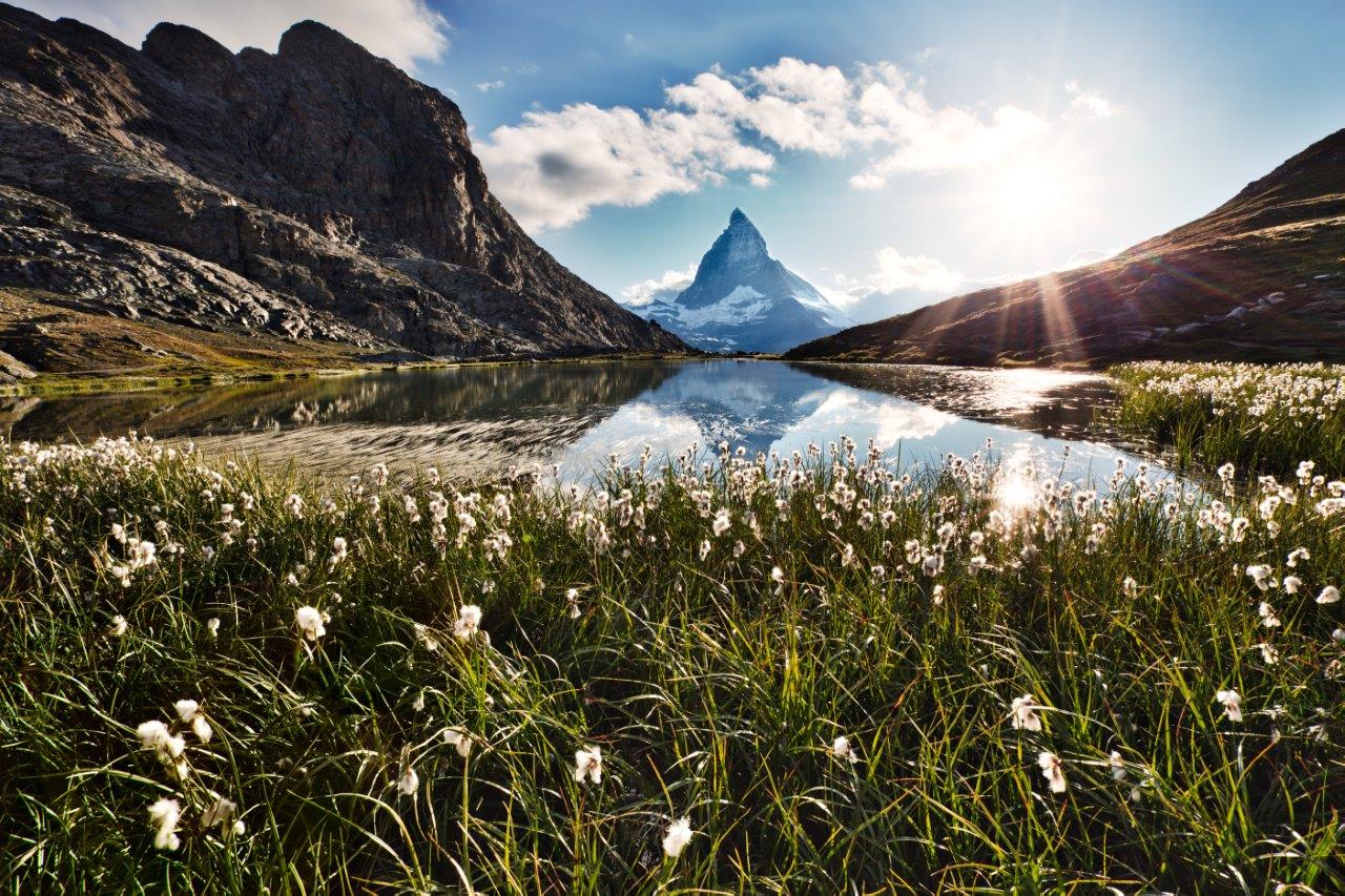 It’s a family affair - aus der Schweiz für die Schweiz - Blog der AMAG Group AG