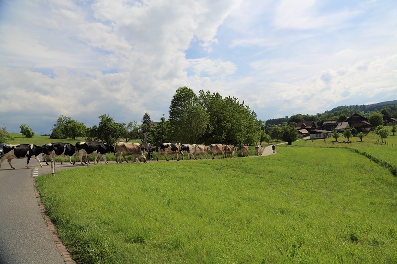 Petit retard à Entlebuch