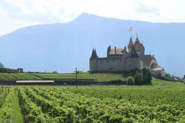 A destra il Castello di Aigle, in primo piano i molti vigneti e sullo sfondo le montagne